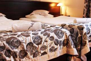 Отель Hotel Rubbens & Monet Торунь Двухместный номер Делюкс с 1 кроватью или 2 отдельными кроватями-2